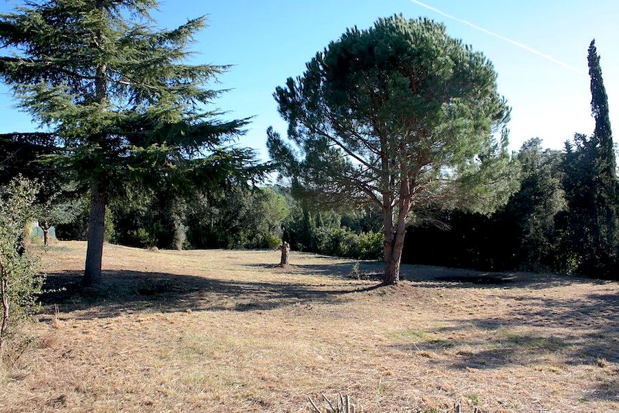 Llana, orientada al sur y rodeada de árboles, en lo alto de Bell Lloc.