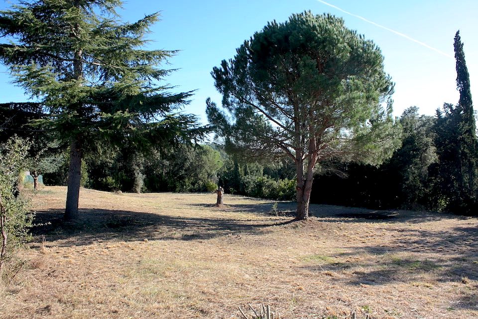 Llana, orientada al sur y rodeada de árboles, en lo alto de Bell Lloc.