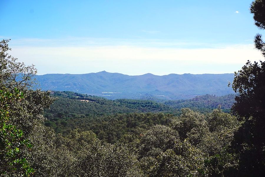 Mil metros cuadrados con vistas a la montaña, a precio de entrada.